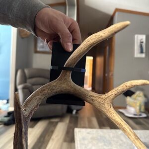 Rustic Antler Decor